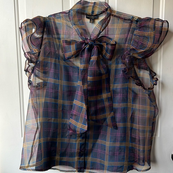 NWT gorgeous ruffle sleeve sheer shirt by Current Air for Anthropologie - Picture 4 of 11